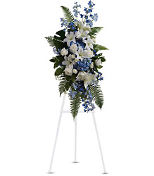 Ocean Breeze Spray from Lagana Florist in Middletown, CT